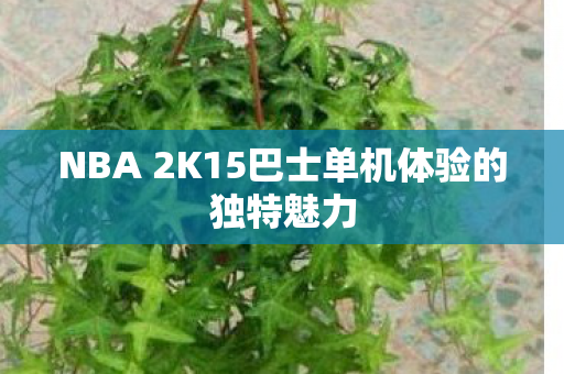 NBA 2K15巴士单机体验的独特魅力 NBA 2K15巴士单机体验的独特魅力