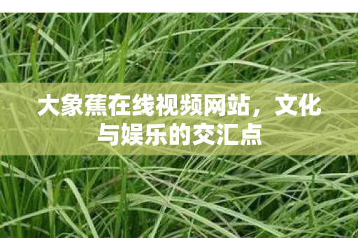 大象蕉在线视频网站，文化与娱乐的交汇点