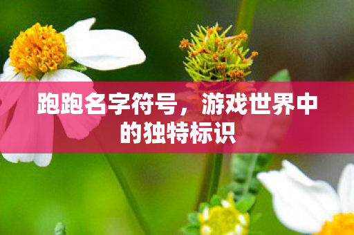 跑跑名字符号，游戏世界中的独特标识