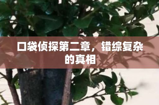 口袋侦探第二章，错综复杂的真相