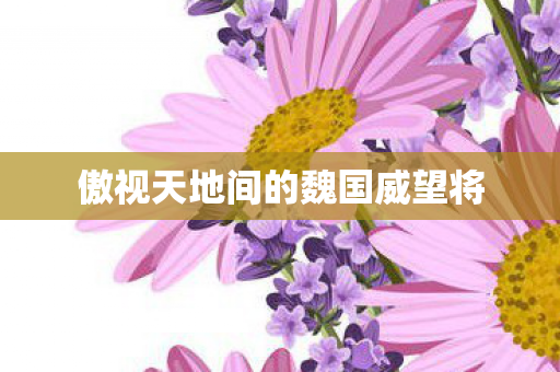 傲视天地间的魏国威望将