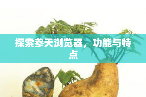 探索参天浏览器，功能与特点