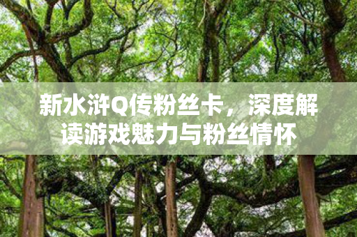 新水浒Q传粉丝卡，深度解读游戏魅力与粉丝情怀