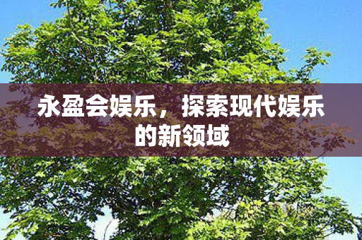 永盈会娱乐，探索现代娱乐的新领域