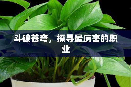 斗破苍穹，探寻最厉害的职业