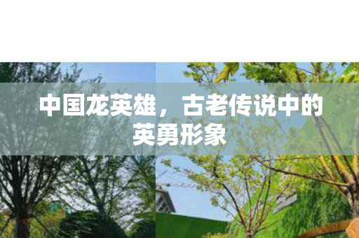 中国龙英雄，古老传说中的英勇形象