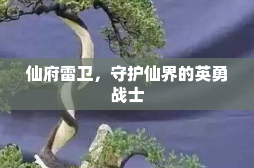 仙府雷卫，守护仙界的英勇战士