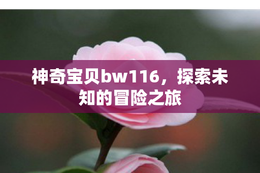 神奇宝贝bw116，探索未知的冒险之旅