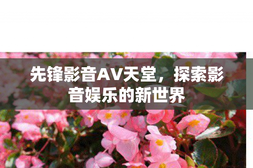 先锋影音AV天堂，探索影音娱乐的新世界