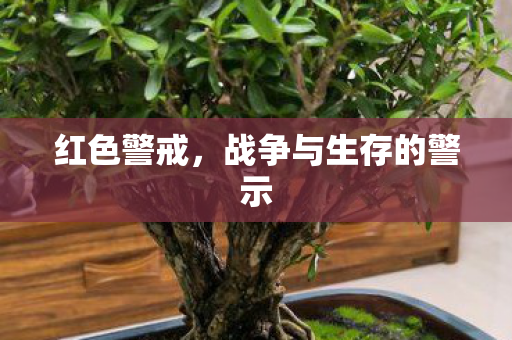 红色警戒，战争与生存的警示