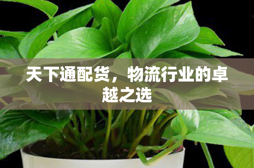 天下通配货，物流行业的卓越之选