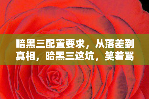 暗黑三配置要求，从落差到真相，暗黑三这坑，笑着骂完却笑着哭了