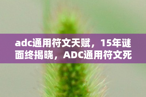 adc通用符文天赋，15年谜面终揭晓，ADC通用符文死亡时间线，玩家泪目
