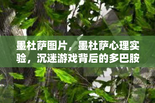 墨杜萨图片，墨杜萨心理实验，沉迷游戏背后的多巴胺陷阱，细思极恐！