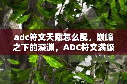 adc符文天赋怎么配,巅峰之下的深渊,ADC符文满级,人生却坠入负层 adc符文天赋怎么配,巅峰之下的深渊,ADC符文满级,人生却坠入负层
