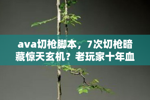 ava切枪脚本,7次切枪暗藏惊天玄机?老玩家十年血泪史揭开AVA终极真相! ava切枪脚本,7次切枪暗藏惊天玄机?老玩家十年血泪史揭开AVA终极真相!