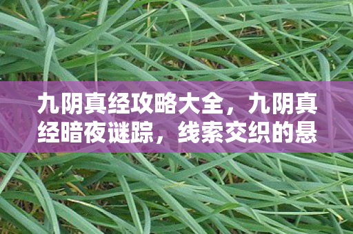 九阴真经攻略大全，九阴真经暗夜谜踪，线索交织的悬案，毛骨悚然真相待揭！