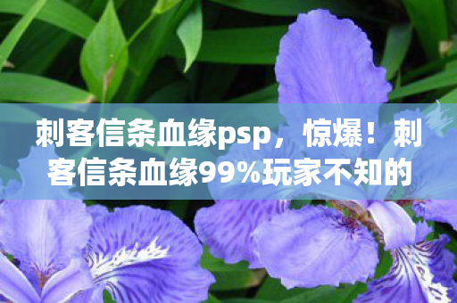刺客信条血缘psp,惊爆!刺客信条血缘99%玩家不知的3大数值暗坑,策划藏太深! 刺客信条血缘psp,惊爆!刺客信条血缘99%玩家不知的3大数值暗坑,策划藏太深!