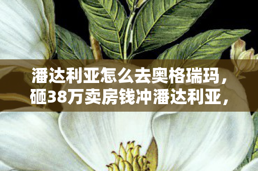 潘达利亚怎么去奥格瑞玛,砸38万卖房钱冲潘达利亚,老婆签完离婚协议我才吓一跳! 潘达利亚怎么去奥格瑞玛,砸38万卖房钱冲潘达利亚,老婆签完离婚协议我才吓一跳!