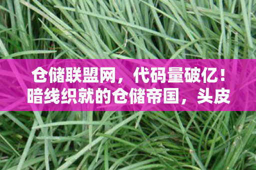 仓储联盟网，代码量破亿！暗线织就的仓储帝国，头皮发麻的生存法则