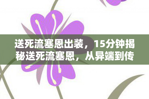 送死流塞恩出装,15分钟揭秘送死流塞恩,从异端到传奇的泪目征程 送死流塞恩出装,15分钟揭秘送死流塞恩,从异端到传奇的泪目征程