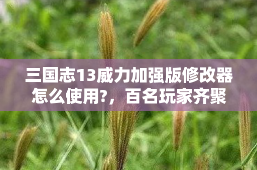 三国志13威力加强版修改器怎么使用?，百名玩家齐聚揭秘！三国志13修改器疑点重重，大神都绷不住了！