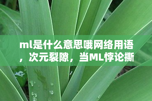 ml是什么意思哦网络用语,次元裂隙,当ML悖论撕碎自由选择的遮羞布,你的灵魂在颤抖吗? ml是什么意思哦网络用语,次元裂隙,当ML悖论撕碎自由选择的遮羞布,你的灵魂在颤抖吗?