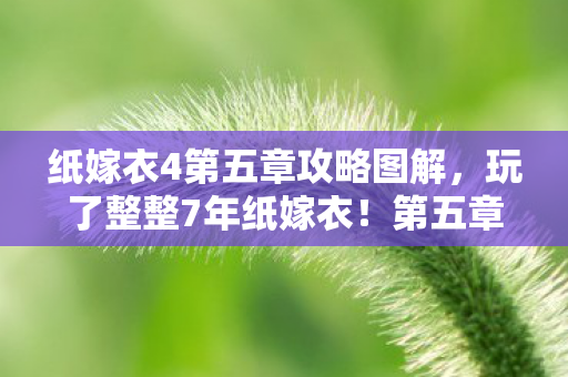 纸嫁衣4第五章攻略图解,玩了整整7年纸嫁衣!第五章3大生死抉择,选错直接BE? 纸嫁衣4第五章攻略图解,玩了整整7年纸嫁衣!第五章3大生死抉择,选错直接BE?