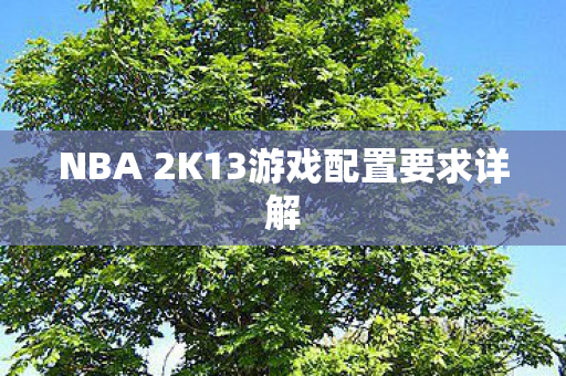 NBA 2K13游戏配置要求详解