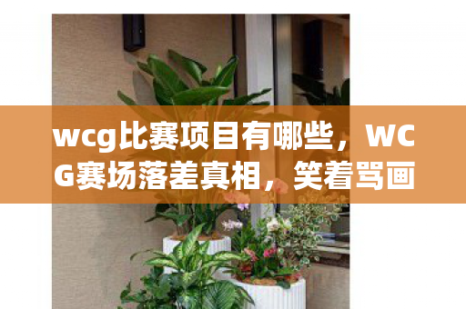 wcg比赛项目有哪些,WCG赛场落差真相,笑着骂画面烂,笑着笑着,却因情怀哭了 wcg比赛项目有哪些,WCG赛场落差真相,笑着骂画面烂,笑着笑着,却因情怀哭了