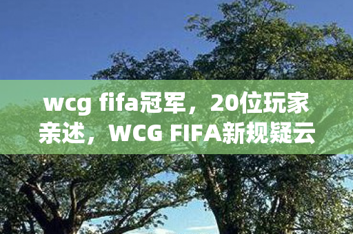 wcg fifa冠军,20位玩家亲述,WCG FIFA新规疑云,这操作谁能绷得住? wcg fifa冠军,20位玩家亲述,WCG FIFA新规疑云,这操作谁能绷得住?