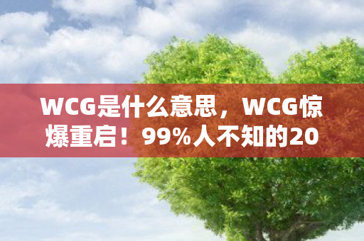 WCG是什么意思,WCG惊爆重启!99%人不知的202X年新玩法,看完直接炸裂! WCG是什么意思,WCG惊爆重启!99%人不知的202X年新玩法,看完直接炸裂!