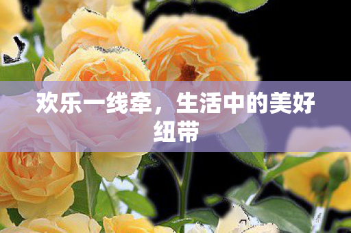 欢乐一线牵，生活中的美好纽带
