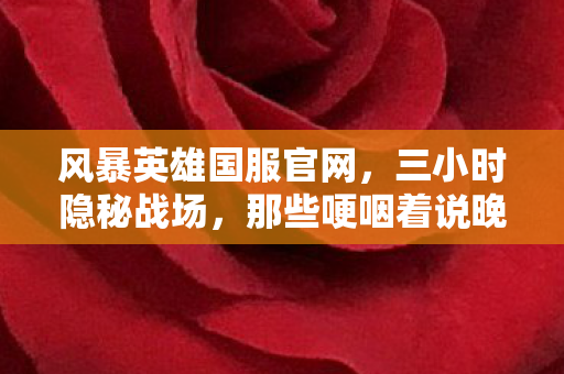 风暴英雄国服官网，三小时隐秘战场，那些哽咽着说晚安的夜晚，如今只剩空荡的泉水