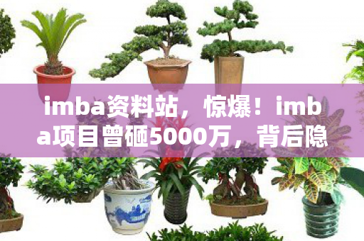 imba资料站,惊爆!imba项目曾砸5000万,背后隐情曝光,结果让人吓一跳! imba资料站,惊爆!imba项目曾砸5000万,背后隐情曝光,结果让人吓一跳!