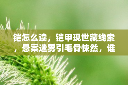铠怎么读,铠甲现世藏线索,悬案迷雾引毛骨悚然,谁是真凶? 铠怎么读,铠甲现世藏线索,悬案迷雾引毛骨悚然,谁是真凶?