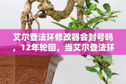 艾尔登法环修改器会封号吗,12年轮回,当艾尔登法环修改器成为数字墓碑,泪目见证魂系终章 艾尔登法环修改器会封号吗,12年轮回,当艾尔登法环修改器成为数字墓碑,泪目见证魂系终章