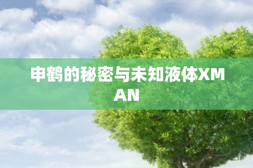 申鹤的秘密与未知液体XMAN 申鹤的秘密与未知液体XMAN