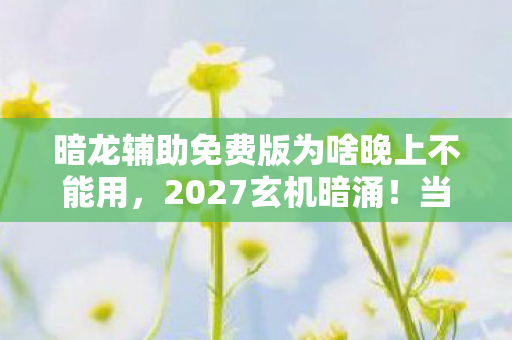 暗龙辅助免费版为啥晚上不能用,2027玄机暗涌!当暗龙辅助的沉默成为人生抉择的密码 暗龙辅助免费版为啥晚上不能用,2027玄机暗涌!当暗龙辅助的沉默成为人生抉择的密码