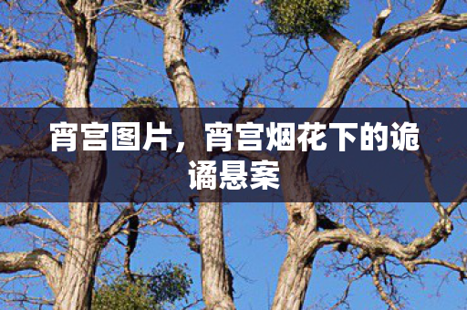 宵宫图片,宵宫烟花下的诡谲悬案 宵宫图片,宵宫烟花下的诡谲悬案