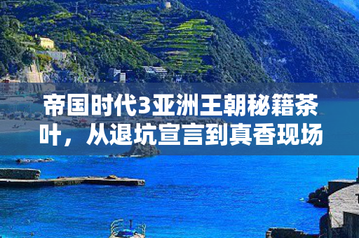 帝国时代3亚洲王朝秘籍茶叶,从退坑宣言到真香现场,真相揭晓,笑着笑着就哭了 帝国时代3亚洲王朝秘籍茶叶,从退坑宣言到真香现场,真相揭晓,笑着笑着就哭了