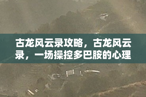 古龙风云录攻略,古龙风云录,一场操控多巴胺的心理实验,沉迷背后细思极恐 古龙风云录攻略,古龙风云录,一场操控多巴胺的心理实验,沉迷背后细思极恐