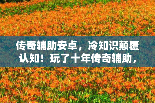 传奇辅助安卓,冷知识颠覆认知!玩了十年传奇辅助,真相让我目瞪口呆 传奇辅助安卓,冷知识颠覆认知!玩了十年传奇辅助,真相让我目瞪口呆