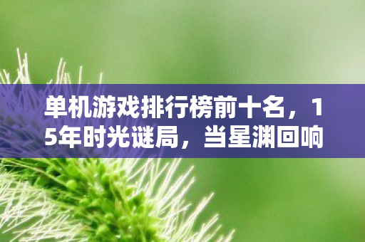 单机游戏排行榜前十名,15年时光谜局,当星渊回响的服务器在2035年熄灭时,全球玩家泪目了 单机游戏排行榜前十名,15年时光谜局,当星渊回响的服务器在2035年熄灭时,全球玩家泪目了