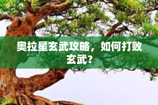 奥拉星玄武攻略，如何打败玄武？