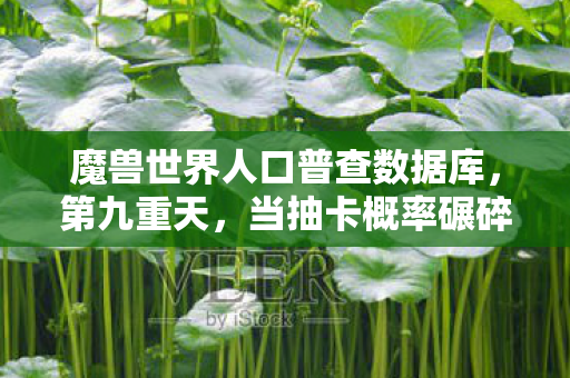 魔兽世界人口普查数据库,第九重天,当抽卡概率碾碎存在主义,你的选择竟是宇宙的笑话? 魔兽世界人口普查数据库,第九重天,当抽卡概率碾碎存在主义,你的选择竟是宇宙的笑话?