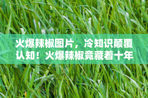 火爆辣椒图片,冷知识颠覆认知!火爆辣椒竟藏着十年未解之谜,真相让人目瞪口呆! 火爆辣椒图片,冷知识颠覆认知!火爆辣椒竟藏着十年未解之谜,真相让人目瞪口呆!