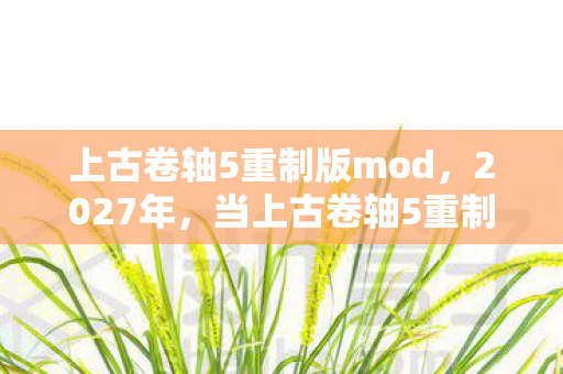 上古卷轴5重制版mod,2027年,当上古卷轴5重制版的雪落进回忆,鼻子一酸谁还在等? 上古卷轴5重制版mod,2027年,当上古卷轴5重制版的雪落进回忆,鼻子一酸谁还在等?