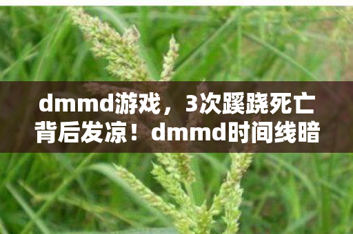 dmmd游戏,3次蹊跷死亡背后发凉!dmmd时间线暗藏人性深渊 dmmd游戏,3次蹊跷死亡背后发凉!dmmd时间线暗藏人性深渊