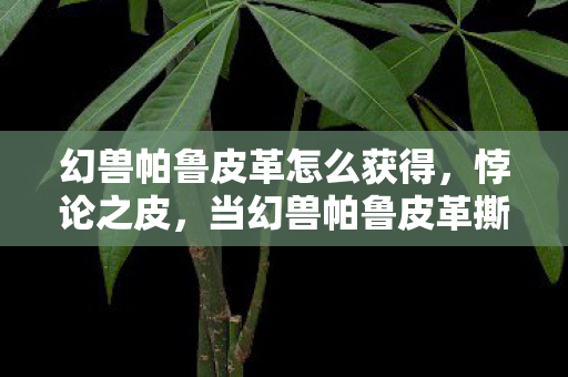 幻兽帕鲁皮革怎么获得,悖论之皮,当幻兽帕鲁皮革撕裂存在主义帷幕,你的自由是算法牢笼? 幻兽帕鲁皮革怎么获得,悖论之皮,当幻兽帕鲁皮革撕裂存在主义帷幕,你的自由是算法牢笼?